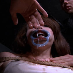 Brooke Johnson に 'Insex' 復活 (サムネイル 6)