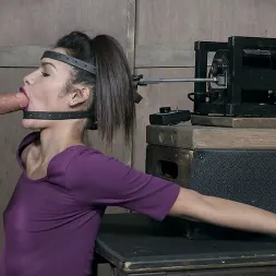 Eden Sin in 'Insex' BaRS part 1: The Return of the Face Fucking Machine, this girl was made for this! (Thumbnail 4)