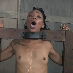 Nikki Darling en 'Insex' is throat overloaded as two big cocks face fuck her into subspace. Metal Bondage. (Miniatura 14)