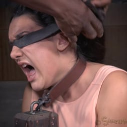 Paisley Parker in 'Insex' Cute brunette Paisley Parker blindfolded in strict bondage, vibrated while deepthroating BBC! (Thumbnail 12)