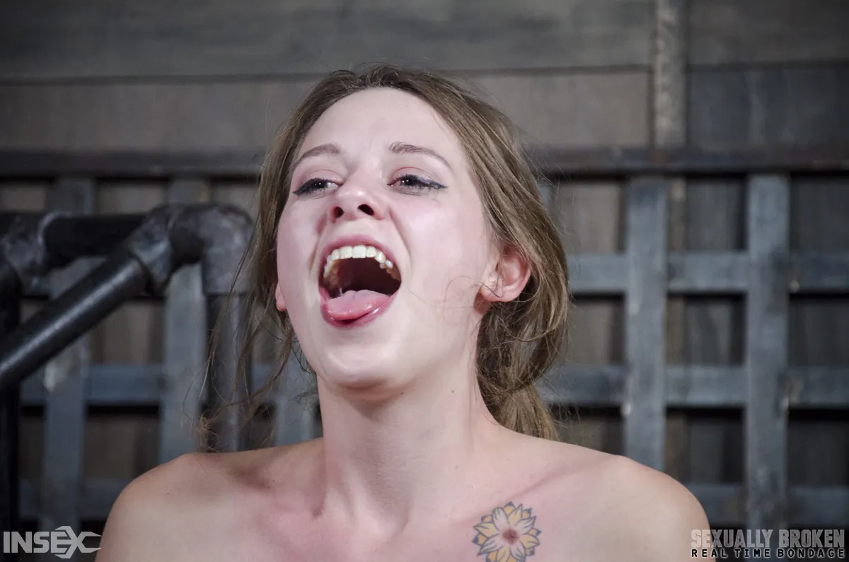 Zoey Laine に 'BaRS Part 3: The final scene of our Coeds non stop live feed, totally Destroyed!' from 'Insex' (写真 3) Insex 'BaRS Part 3: The final scene of our Coeds non stop live feed, totally Destroyed!' 主演 Zoey Laine (写真 3)